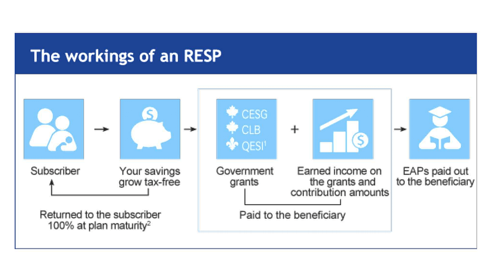 How does a registered educations savings plan work in Canada